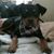 Jazmyn M Duncan's profile image
