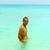 Mark A Fernandes's profile image