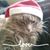 Terri Norcross's profile image