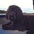 Craig Wilson's profile image