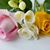 Samina Ashraf's profile image