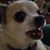 Rusty Phillips's profile image