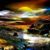 Sue Vanderhoof's profile image