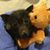 Tami Renner's profile image