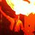 Benjy Wood's profile image