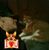 Lisa Becker Graff's profile image
