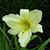 Jan Volin's profile image