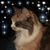 Angie Kivela's profile image