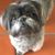 Diane Avery Van Handel's profile image