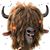 Douglas Mundt's profile image