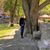 Tiffani Aloi Bollinger's profile image