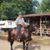 Jerry Hervey's profile image