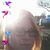 Chanelle Rybloom's profile image