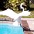 Andrea Mc Crossen's profile image