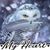 Donna Marie's profile image
