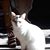 Kristie Holtan's profile image