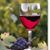 Sandi Erickson's profile image