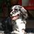 Faith Pincus's profile image