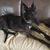 Nanette McClary's profile image
