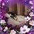 Sandy Elmore's profile image