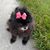 Shirley Lang's profile image