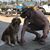 Richard Kulikowski Jr.'s profile image