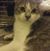 Lisa B.'s profile image