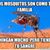 Rober Aguilar's profile image