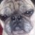 Wendy Clark's profile image