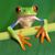 Cindi Boggia Kirchner's profile image