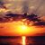 K.T. Timmins's profile image
