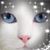 Katherine Taylor's profile image