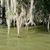 Angie Bates Skelton's profile image