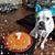 Amber D Cooper's profile image