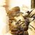Warren Mysteriouschild Marion's profile image