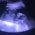 Aaliyah Muhamed's profile image