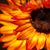 Wendy Alexakos's profile image