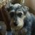 Linda Wells's profile image