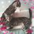 Yvonne Fox's profile image