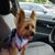 Treva Henson's profile image