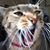 Bill Beckert's profile image