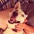 Nell Gaither's profile image