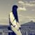 Nancy Wei's profile image