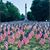 Tracy Wieder McLeran's profile image