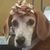 Tracy Lee's profile image
