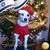 Mike Searcy's profile image