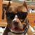 John Lan Smith's profile image