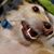 Tori Thompson's profile image