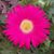 Tina Lawshe Hager's profile image