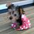 Ruth Shullick's profile image